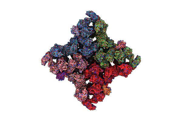 5T9S image