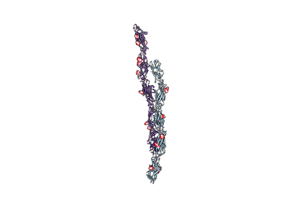 5T9T image