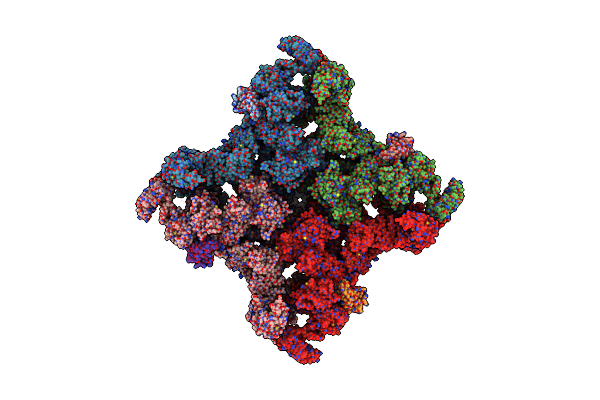 5T9V image