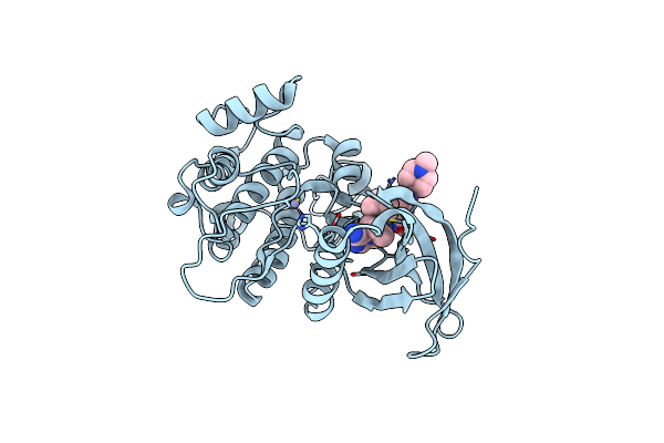 5TA6 image