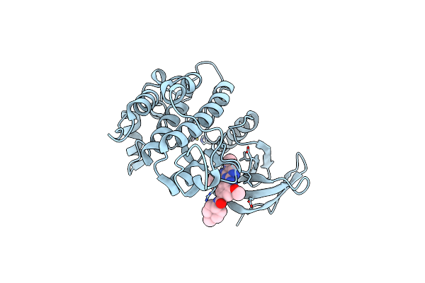 5TA8 image