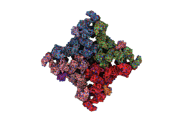 5TAV image