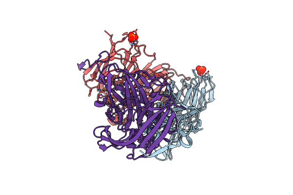 5TB7 image