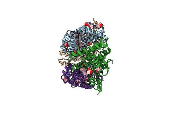 5TBP image