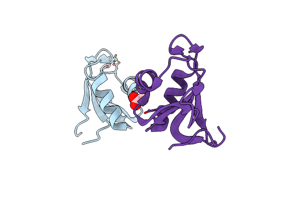 5TBX image