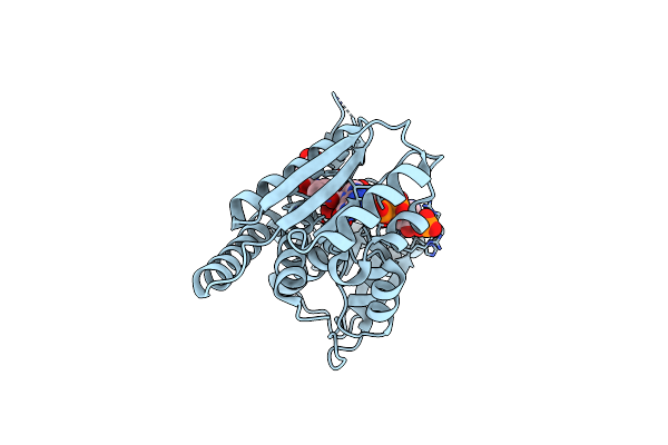5TC4 image