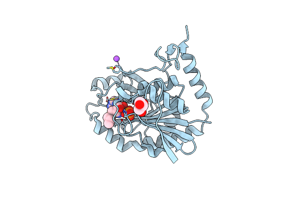 5TC6 image