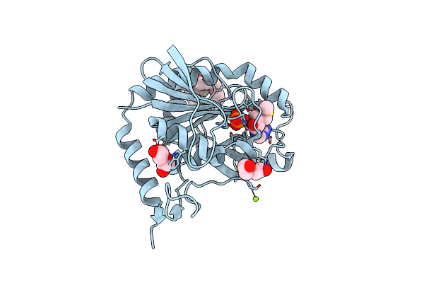 5TC8 image