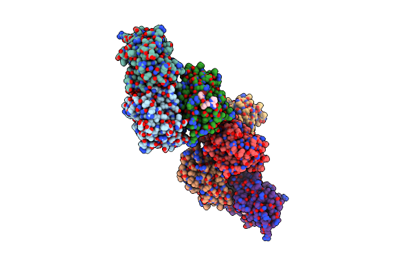 5TCA image