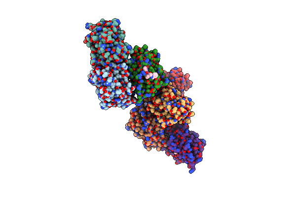 5TCC image