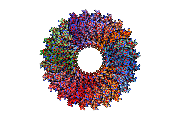 5TCP image