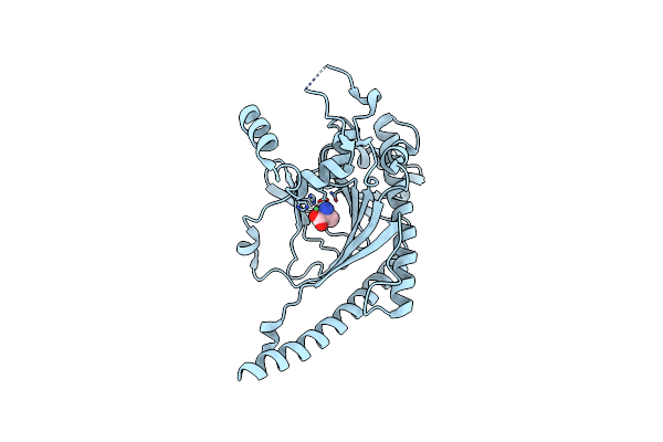 5TCV image