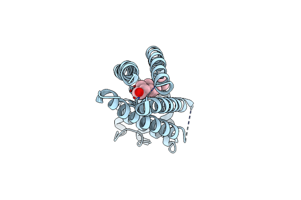 5TCX image