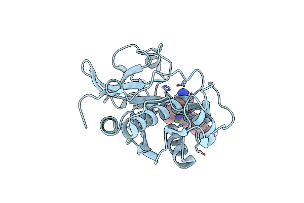 5TDI image