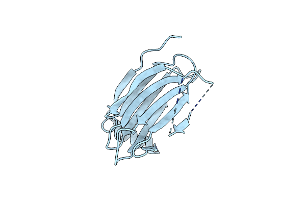 5TDQ image