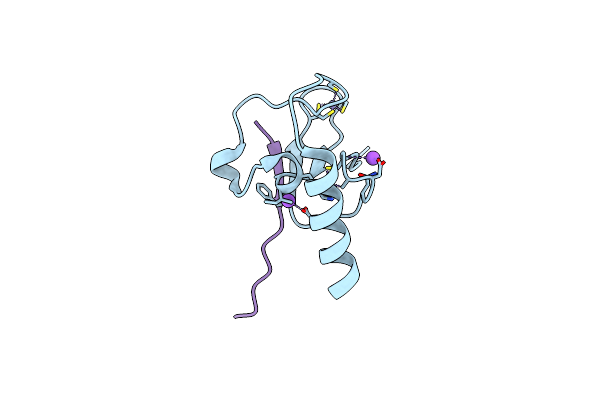 5TDR image
