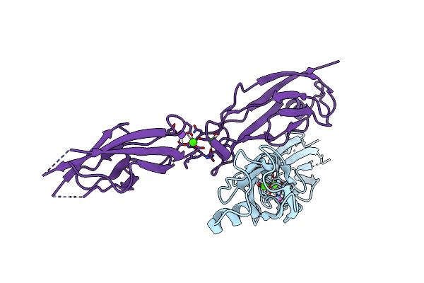 5TFL image
