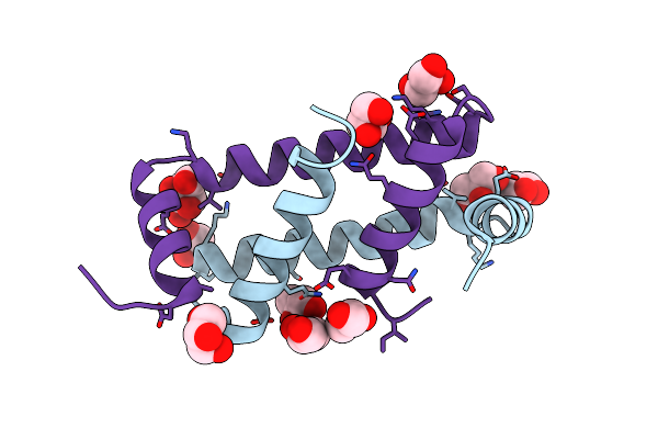 5TFP image
