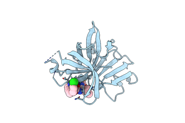5TG1 image
