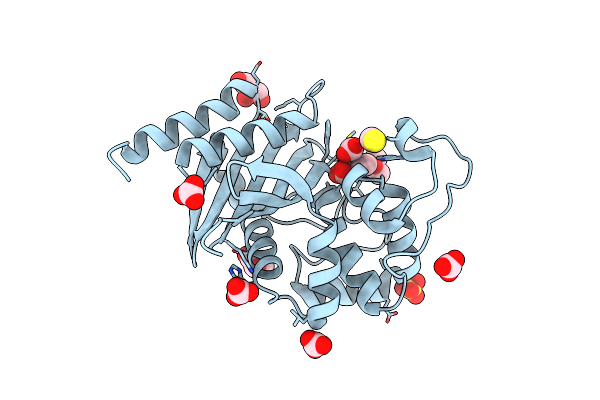 5TG4 image