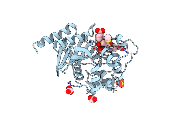 5TG5 image