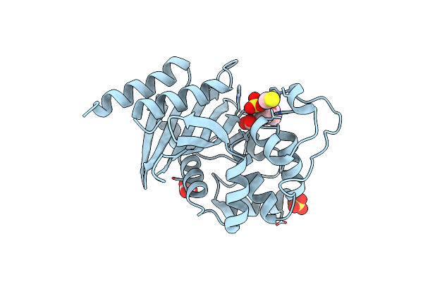 5TG7 image