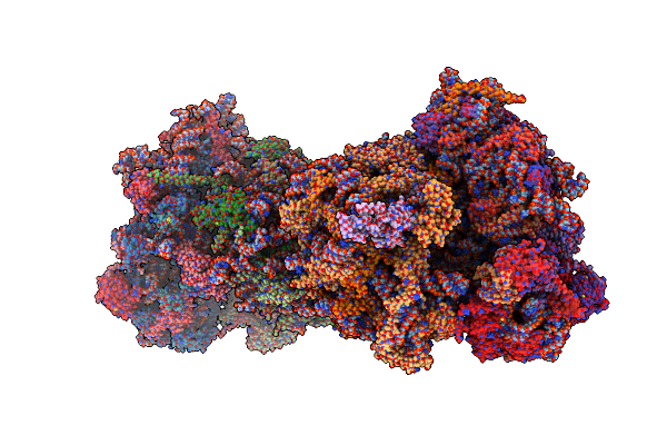 5TGM image