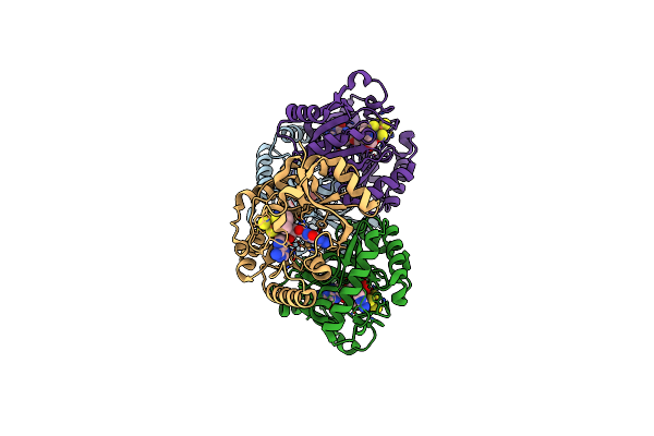 5TH5 image