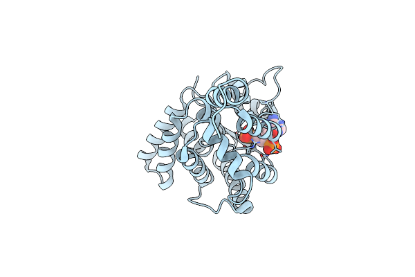 5TIZ image