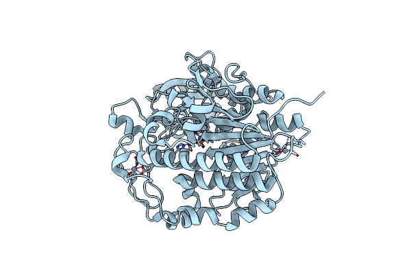 5TJ3 image