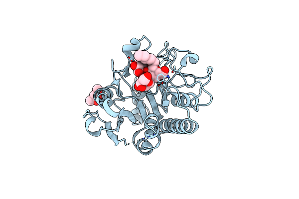 5TJN image