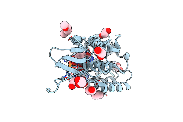 5TJY image