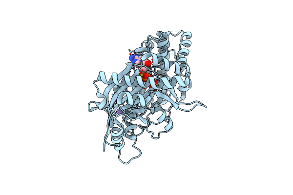 5TKR image