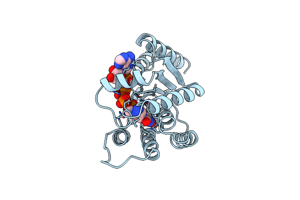 5TMP image