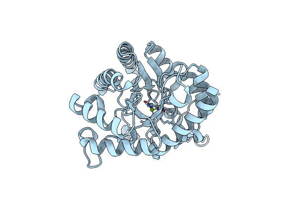 5TNV image