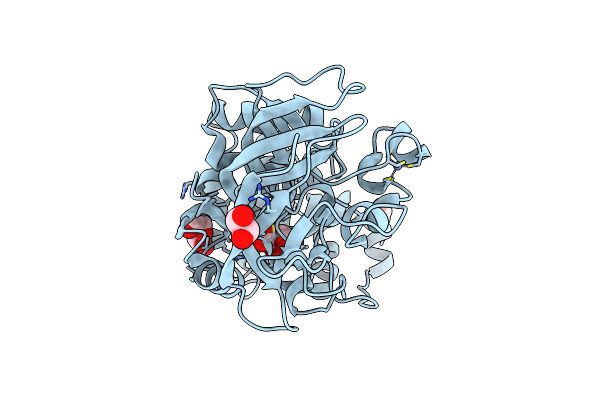 5TNX image