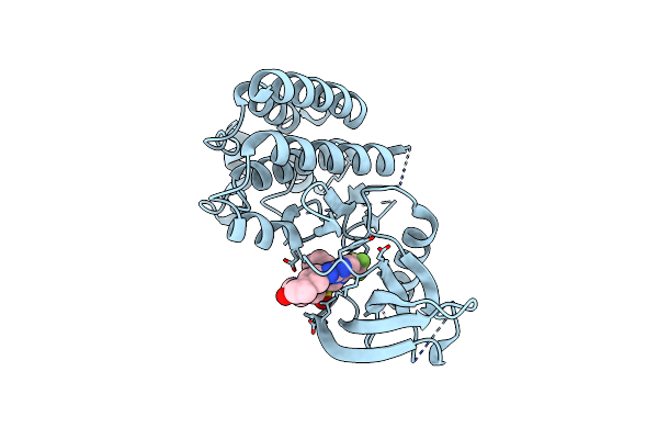 5TO8 image