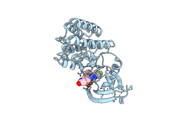 5TOB image
