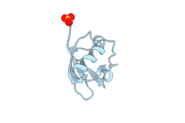 5TOF image