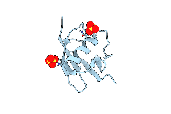 5TOG image