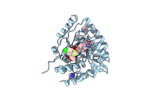 5TPG image