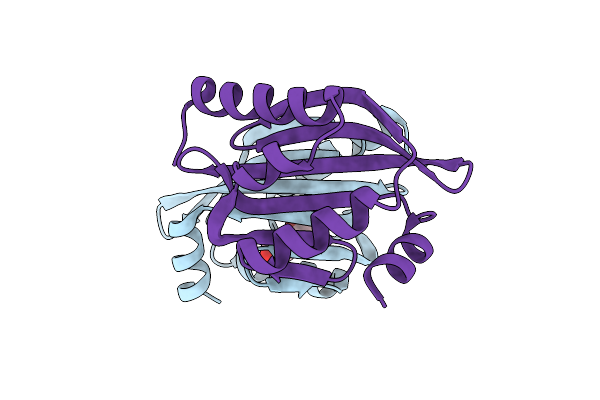5TPH image