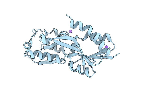 5TPI image