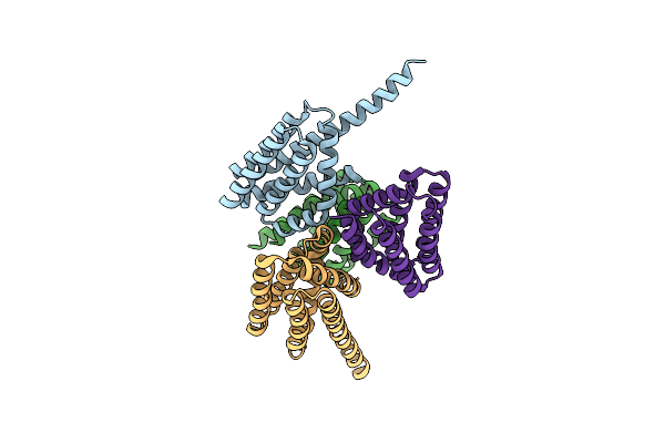 5TPM image