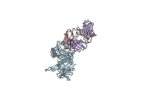 5TPN image