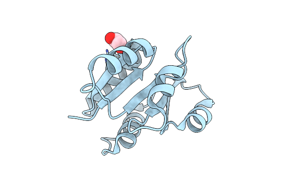 5TQJ image
