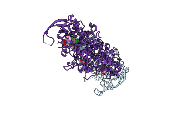 5TQU image