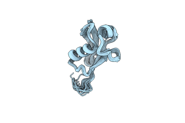 5TR5 image