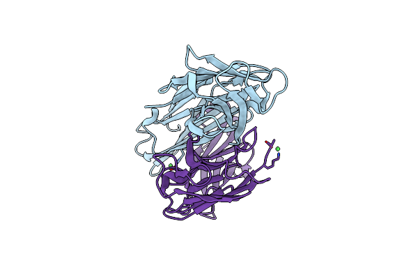5TR8 image