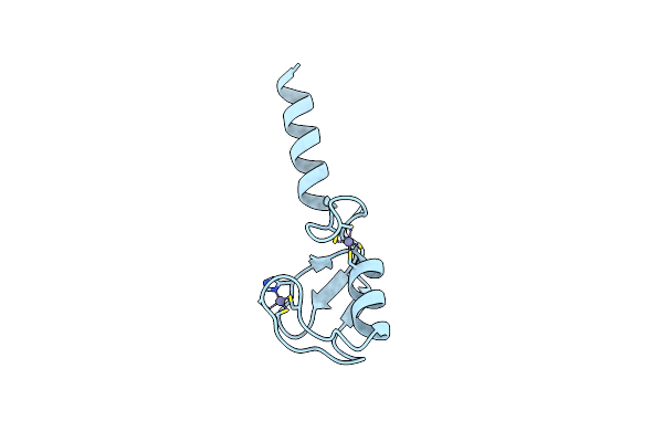 5TRB image